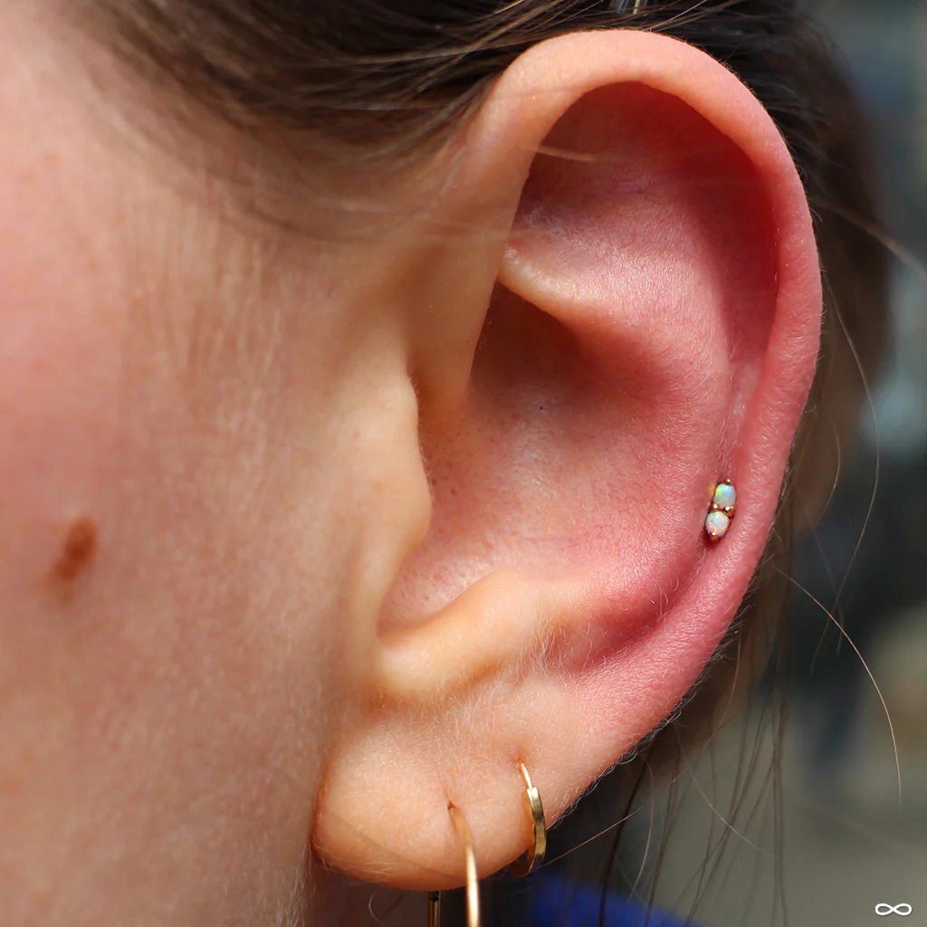 2 Stone Marquise Press-fit End in Gold from LeRoi - Image 25