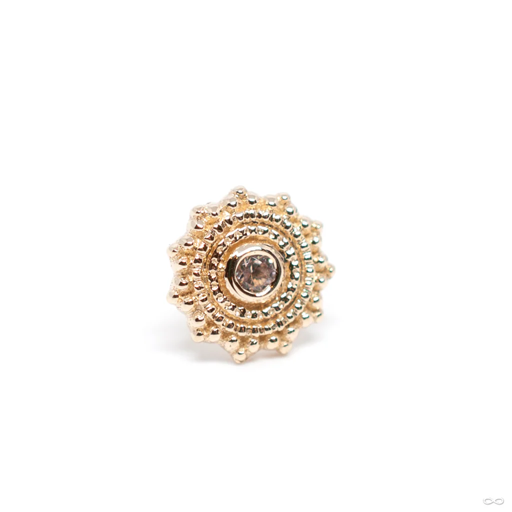 Afghan Press-fit End in Gold from BVLA - Image 12
