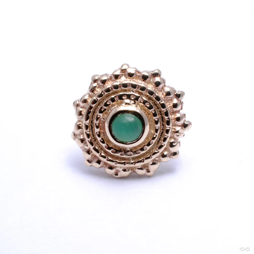 Afghan Press-fit End in Gold from BVLA - Image 14