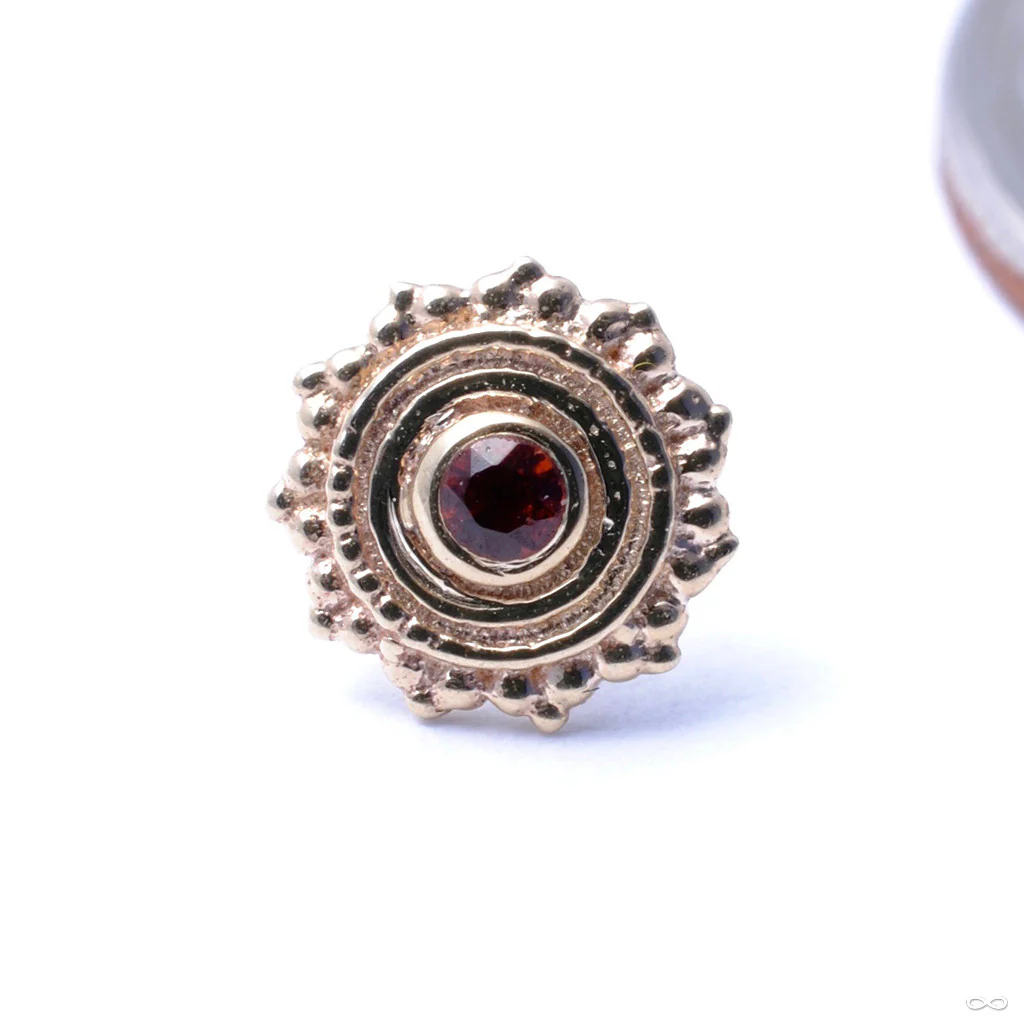 Afghan Press-fit End in Gold from BVLA - Image 15
