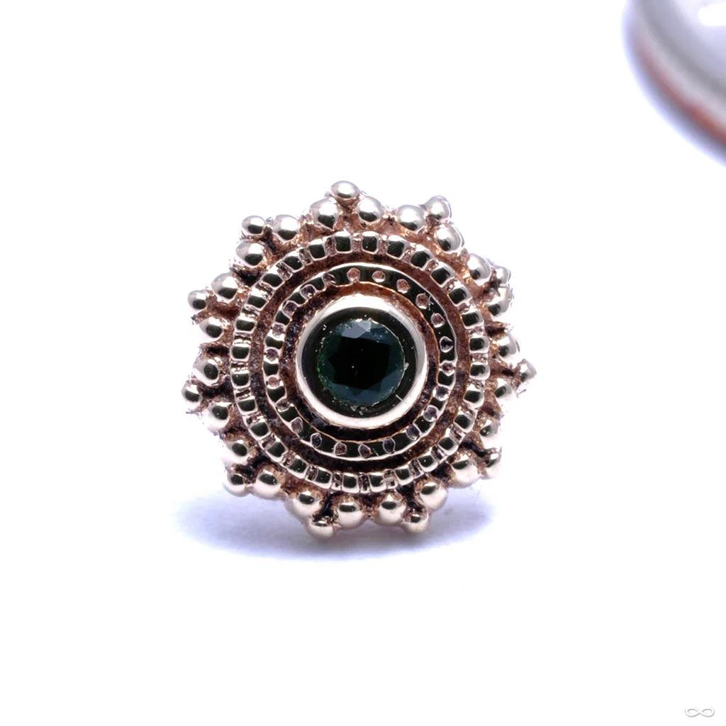 Afghan Press-fit End in Gold from BVLA - Image 16