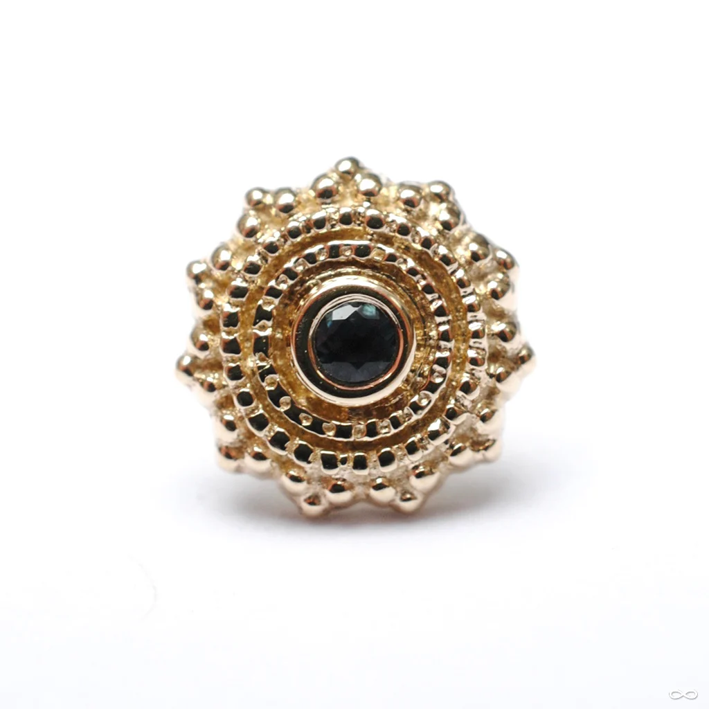 Afghan Press-fit End in Gold from BVLA - Image 17