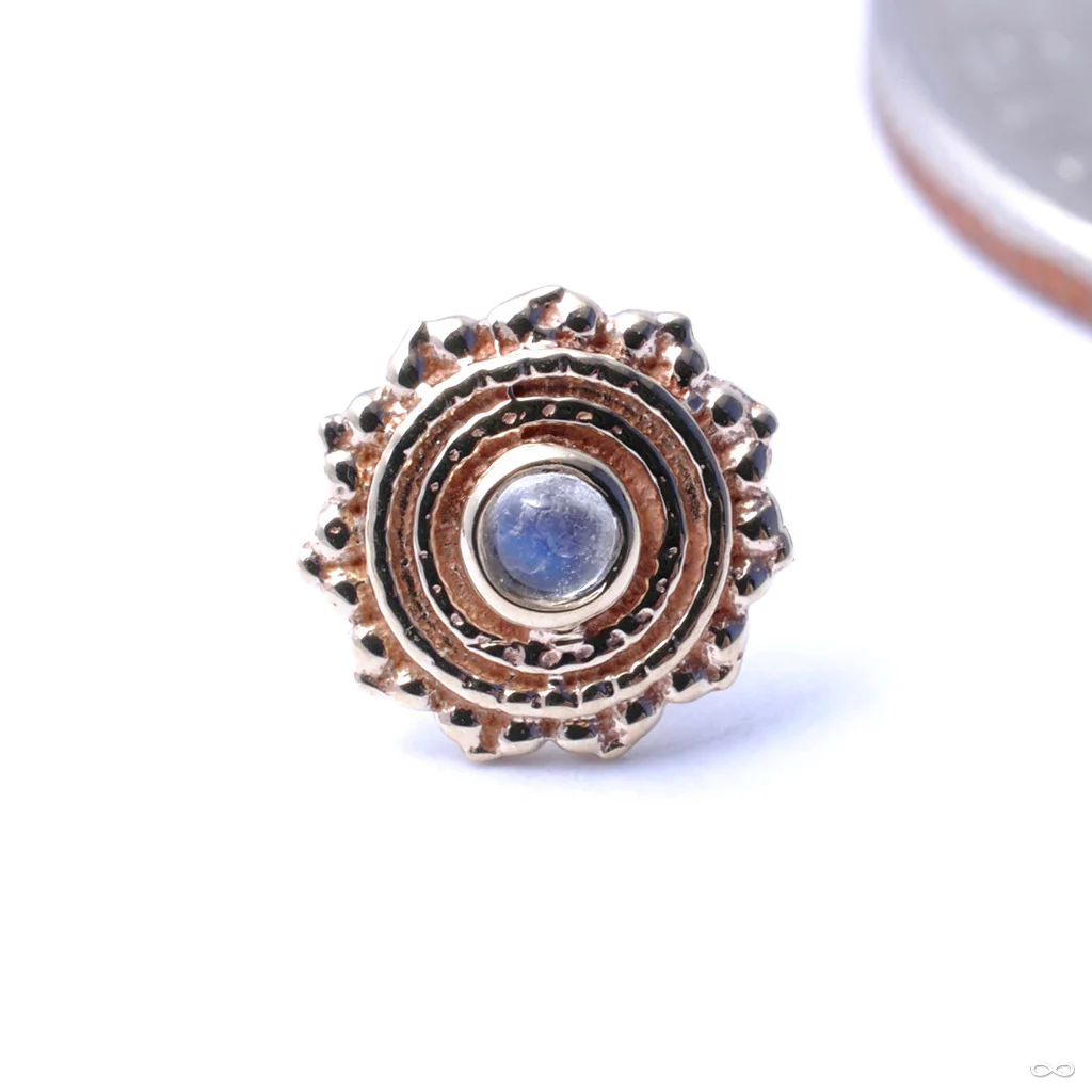 Afghan Press-fit End in Gold from BVLA - Image 18