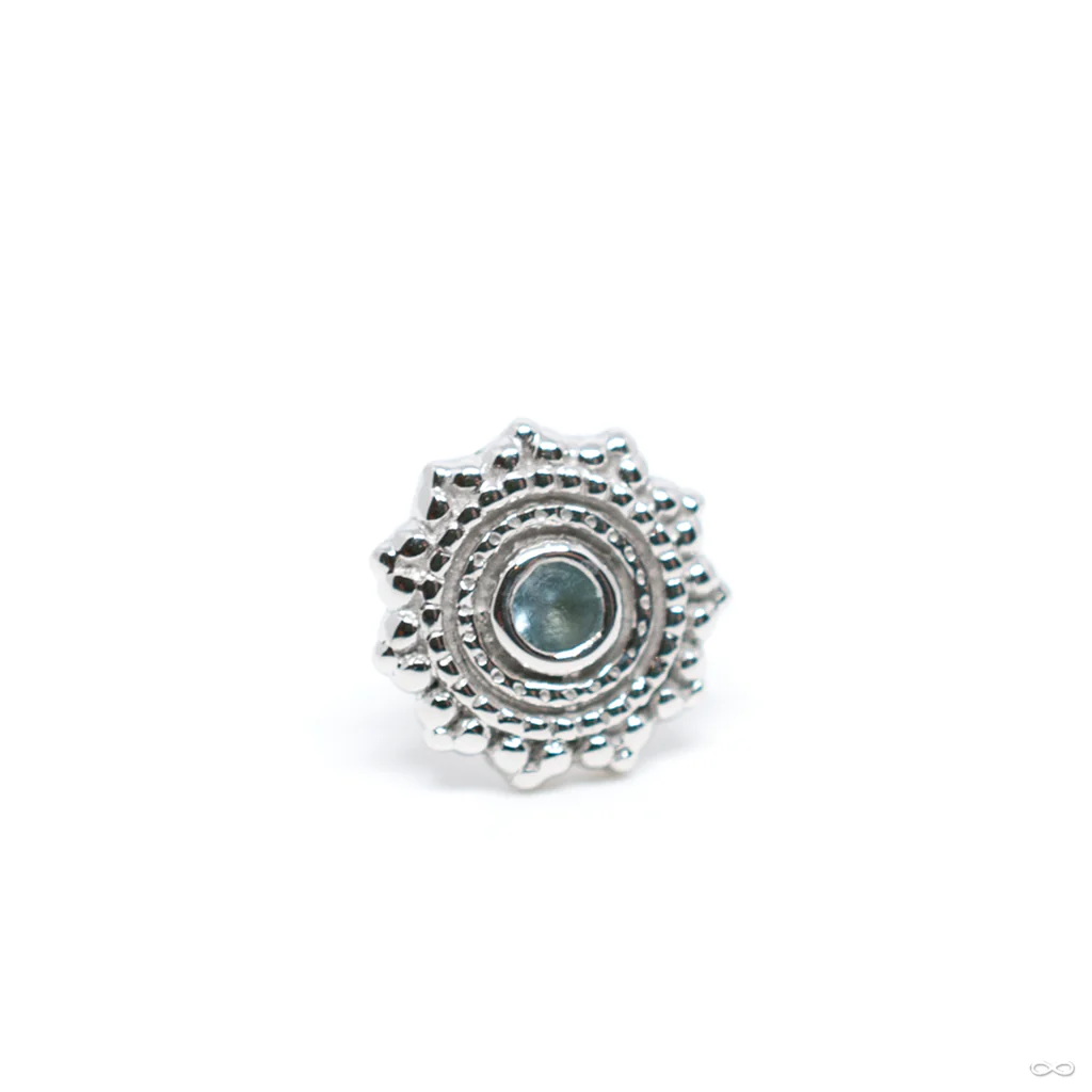 Afghan Press-fit End in Gold from BVLA - Image 19