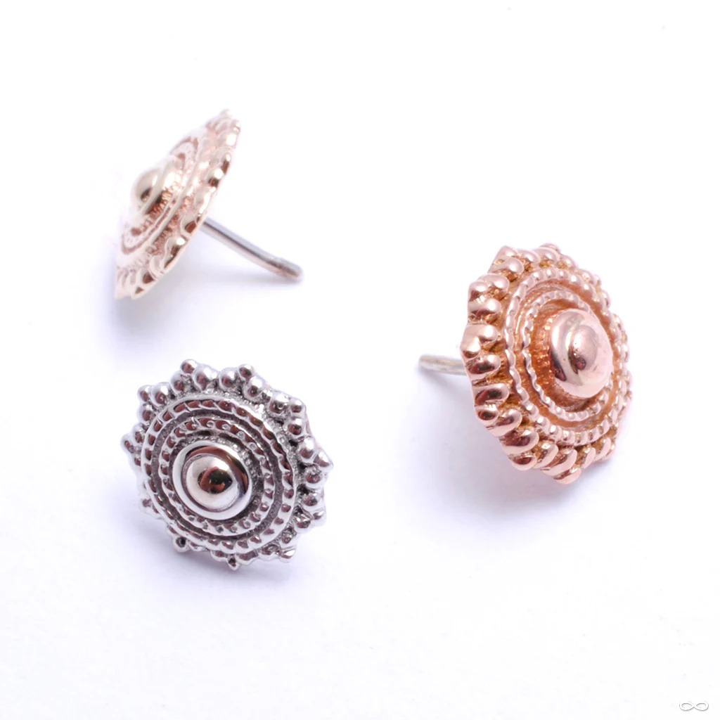 Afghan Press-fit End in Gold from BVLA - Image 2