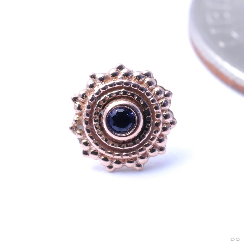 Afghan Press-fit End in Gold from BVLA - Image 3