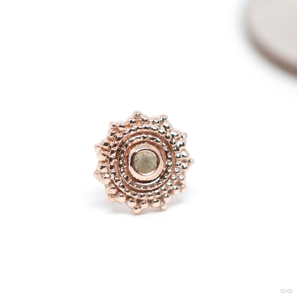 Afghan Press-fit End in Gold from BVLA - Image 4
