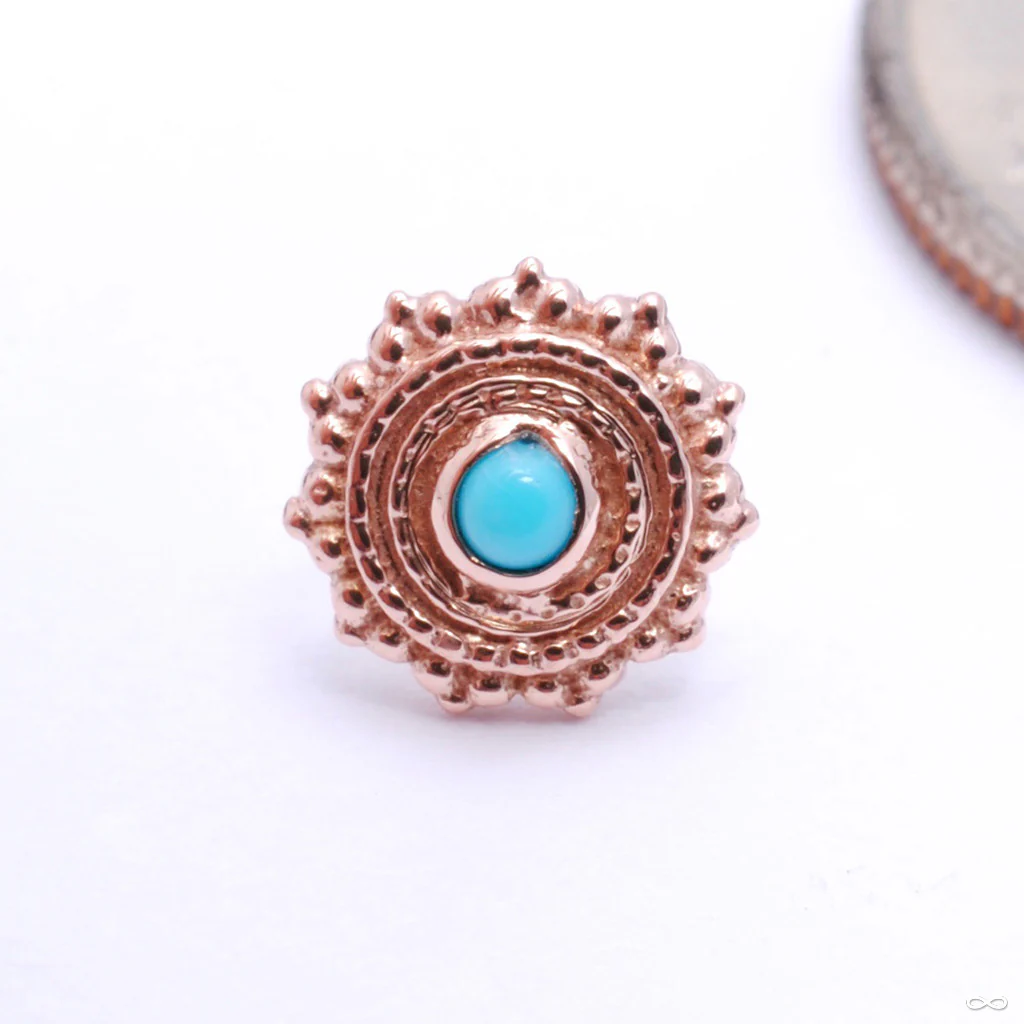 Afghan Press-fit End in Gold from BVLA - Image 6