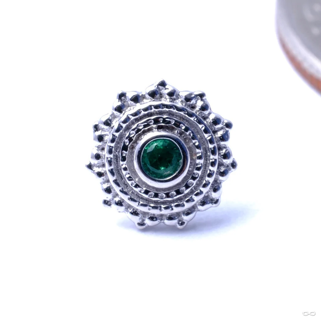 Afghan Press-fit End in Gold from BVLA - Image 8