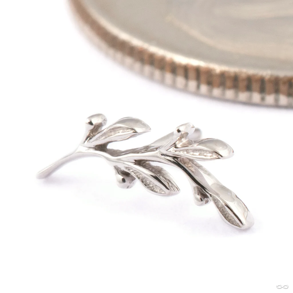 Amity Press-fit End in Gold from BVLA - Image 2