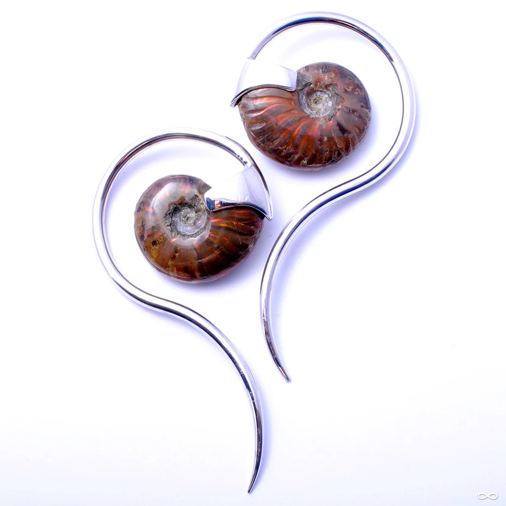 Ammonite Swans from Quetzalli - Image 2