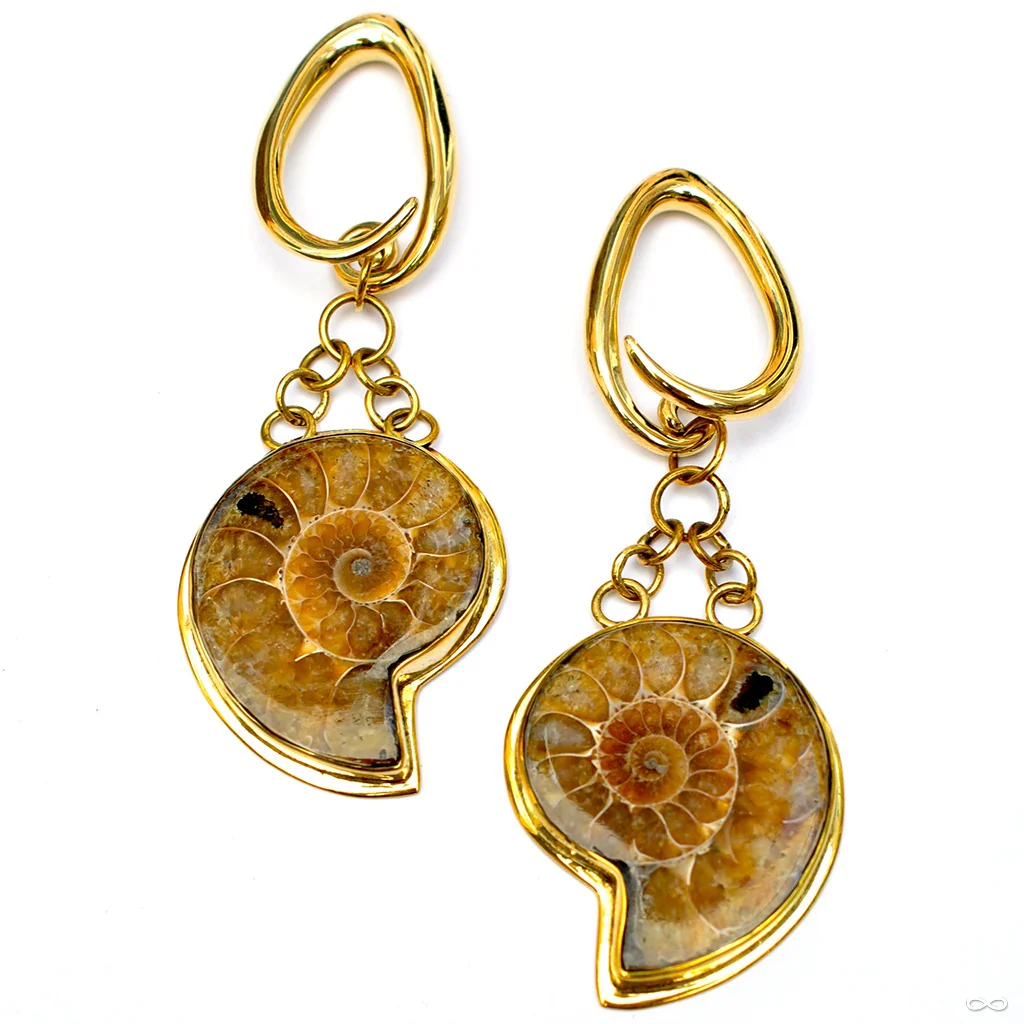 Ammonites from Diablo Organics - Image 8