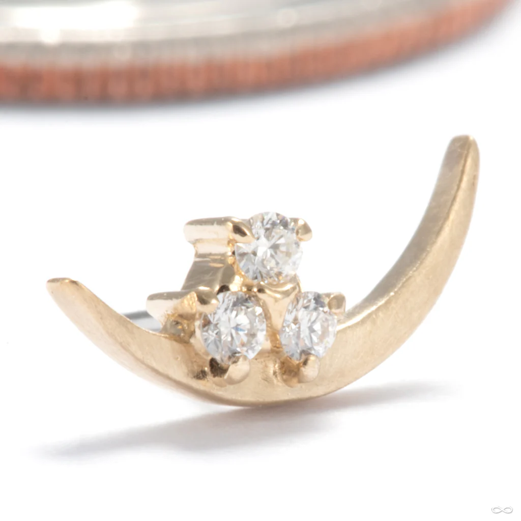 Apollo Press-fit End in Gold from Tether Jewelry - Image 4