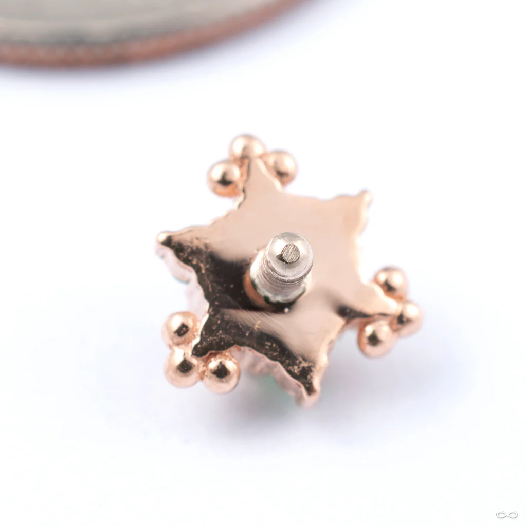Bayle Threaded End in Gold from BVLA - Image 2