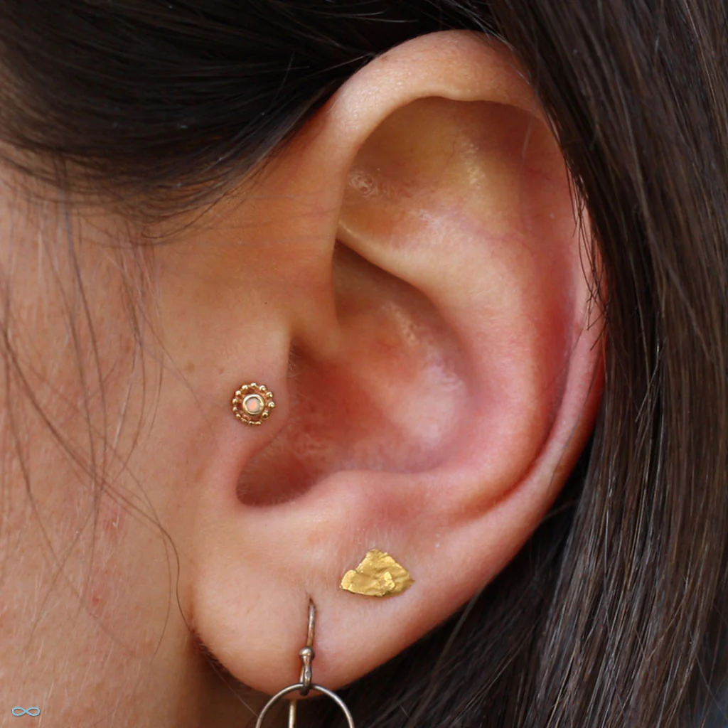 Bead Swirl Press-fit End in Gold from BVLA - Image 6