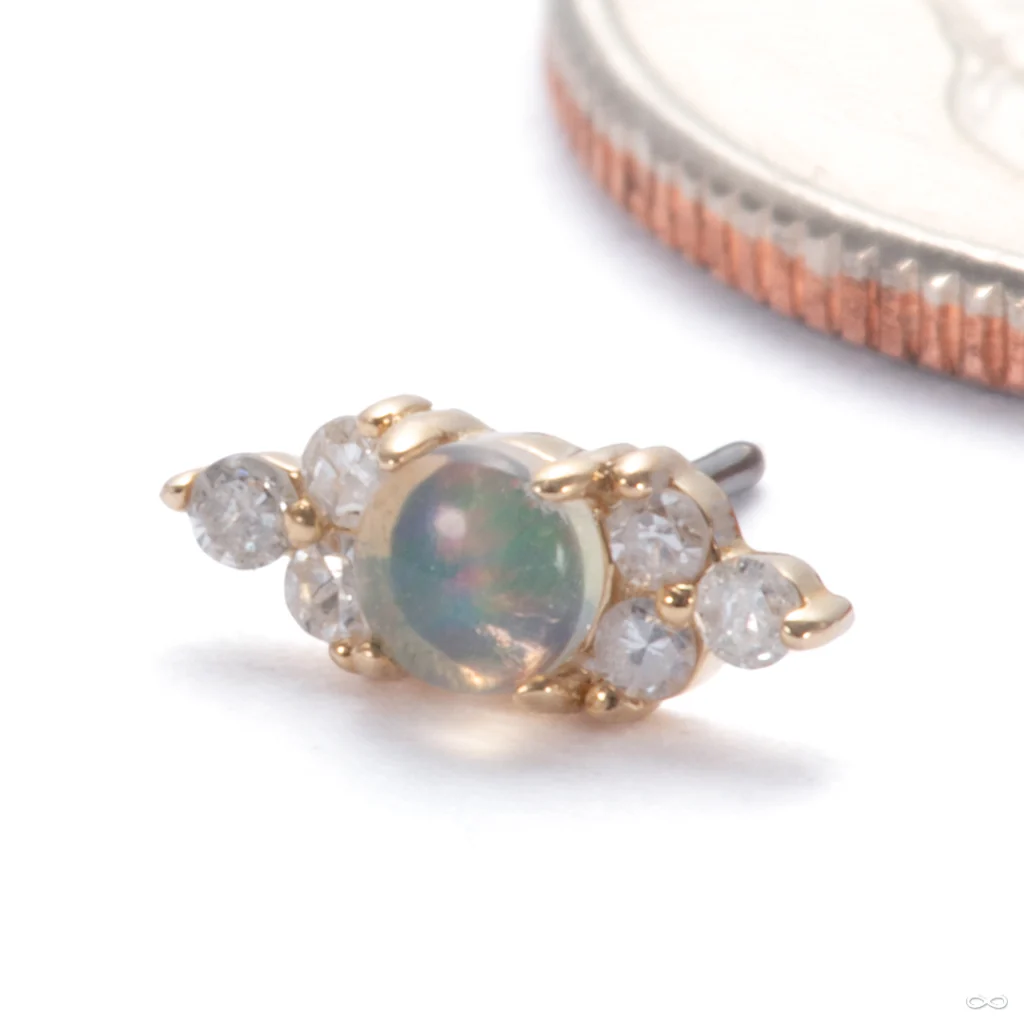 Belle Press-fit End in Gold from Oracle - Image 2