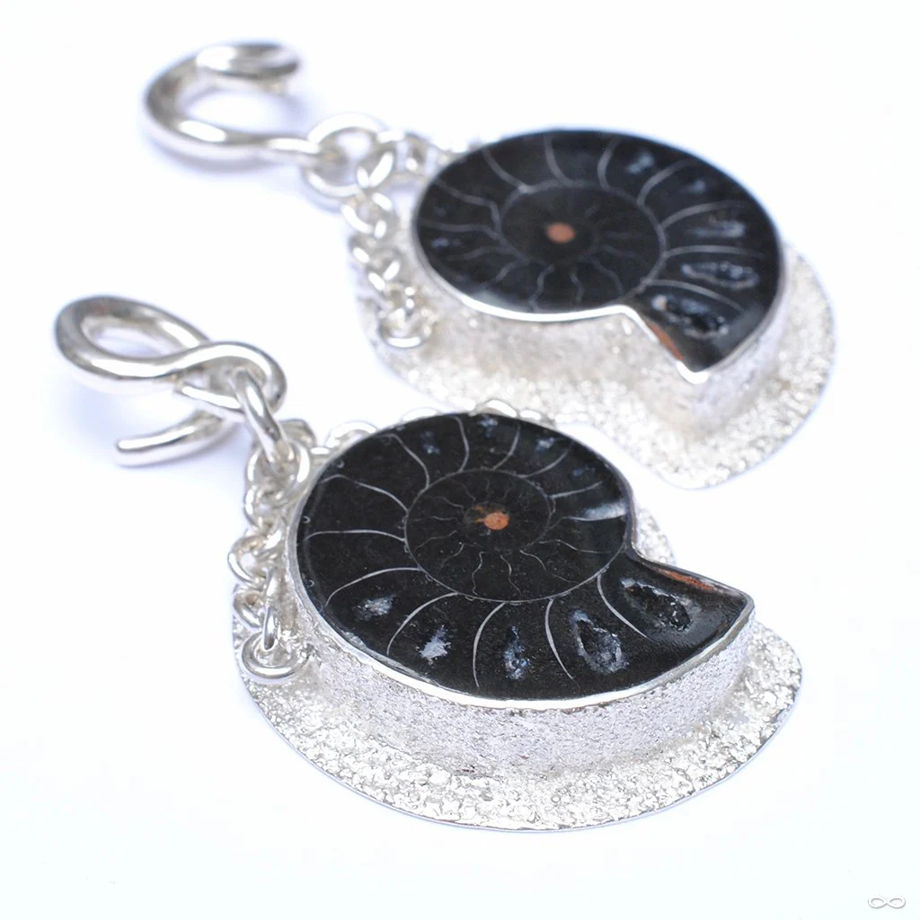 Black Ammonite Weights from Diablo Organics - Image 2