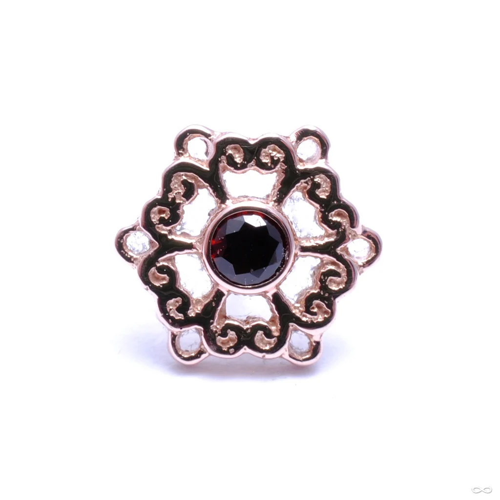 Chloe Press-fit End in Gold from BVLA - Image 8