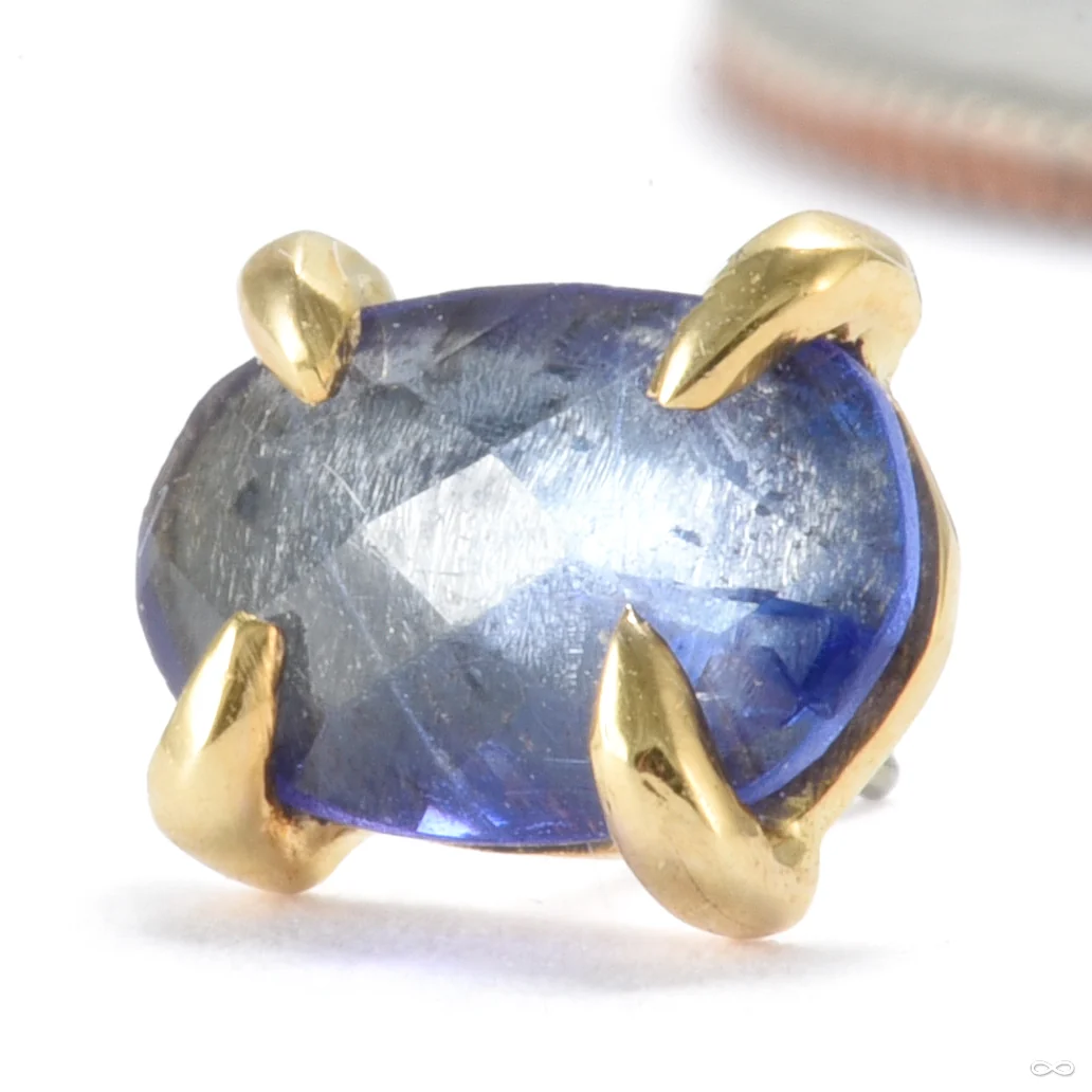 Claw-set Tourmaline Press-fit End in Gold from Quetzalli - Image 5