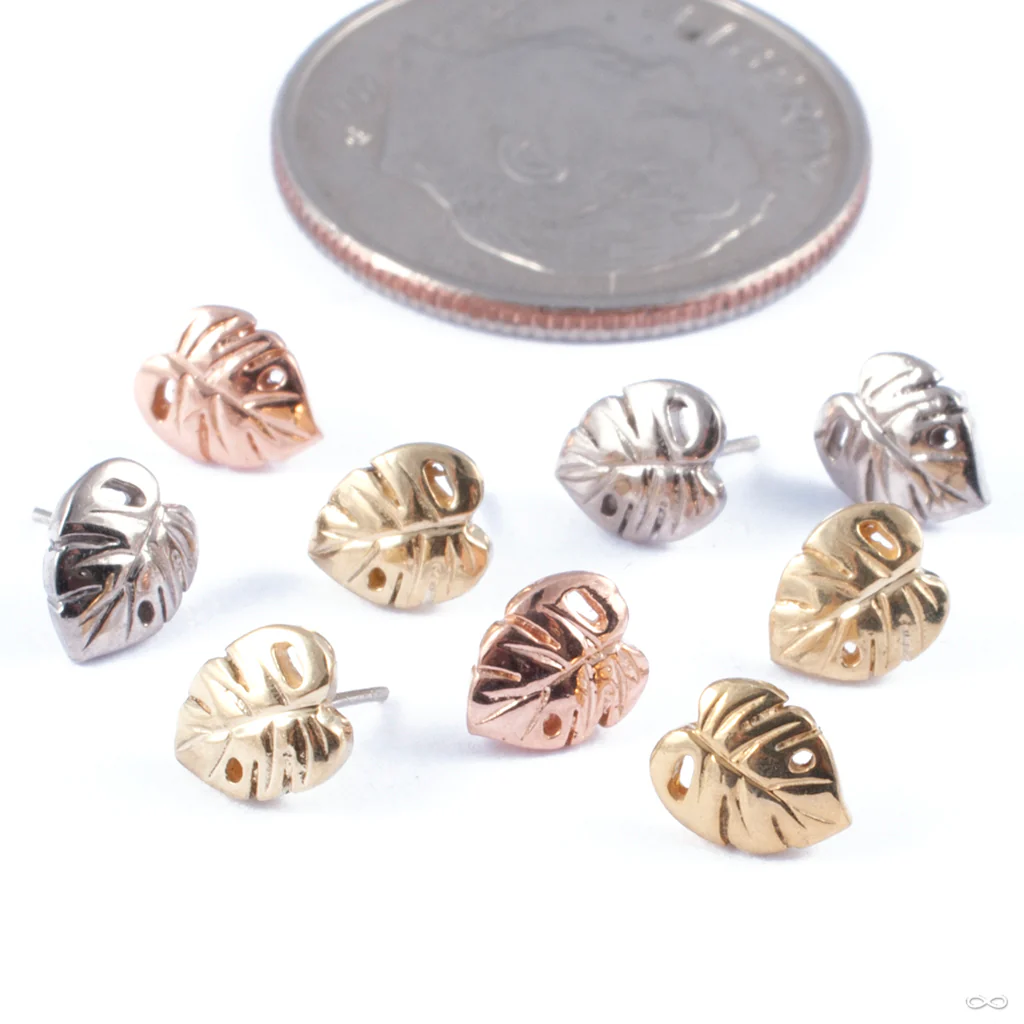 Countess Press-fit End in Gold from Regalia