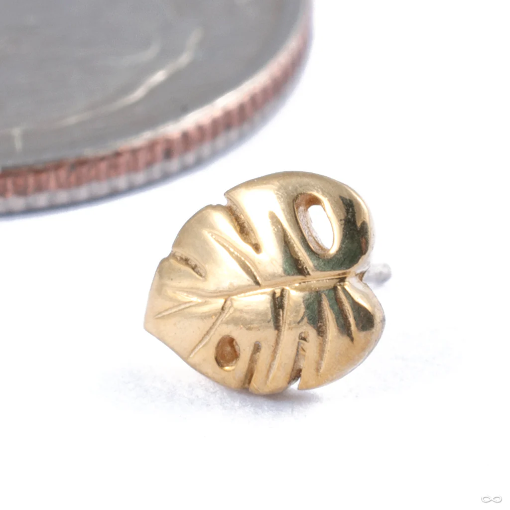 Countess Press-fit End in Gold from Regalia - Image 4