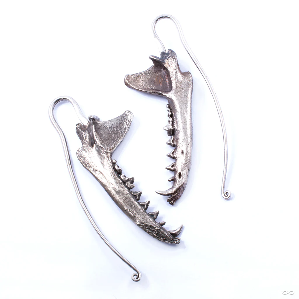 Coyote Jaw Weights from Eleven44 - Image 3