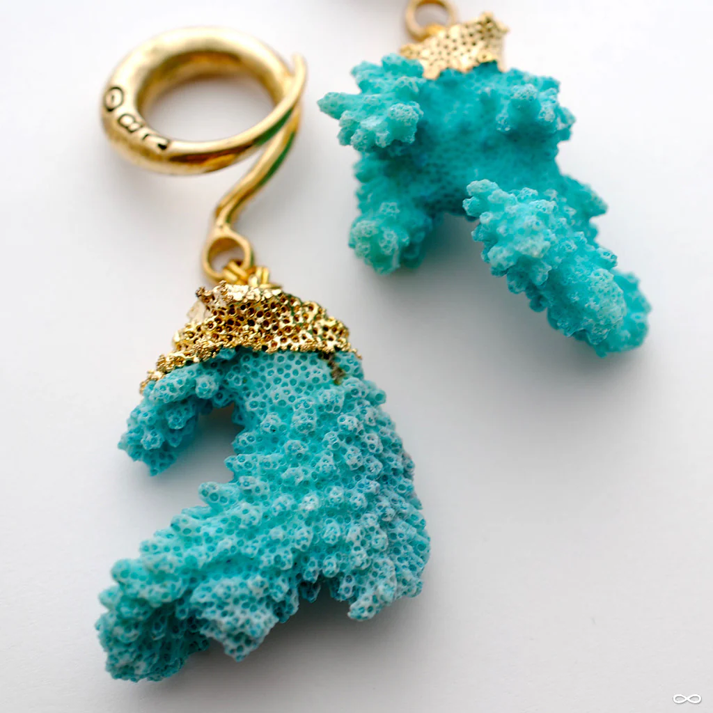 Crossovers with Blue Coral from Oracle - Image 3