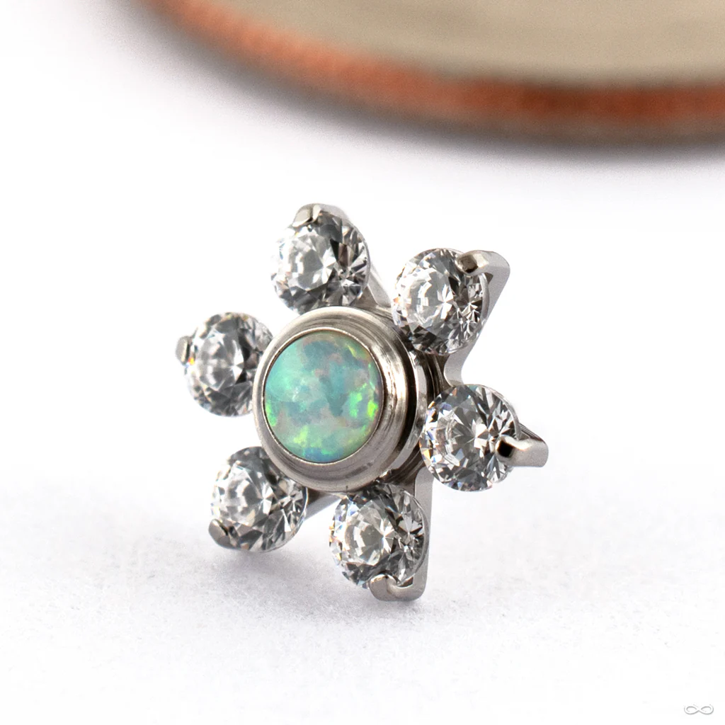 Daisy Press-fit End in Titanium from Canasteel Jewelry