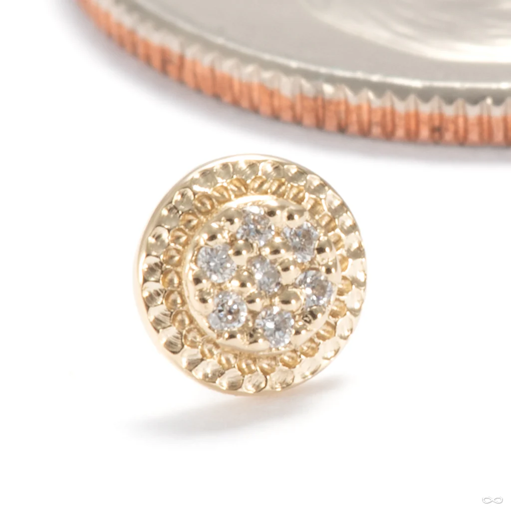 Didact Press-fit End in Gold from Seasons Handmade - Image 4