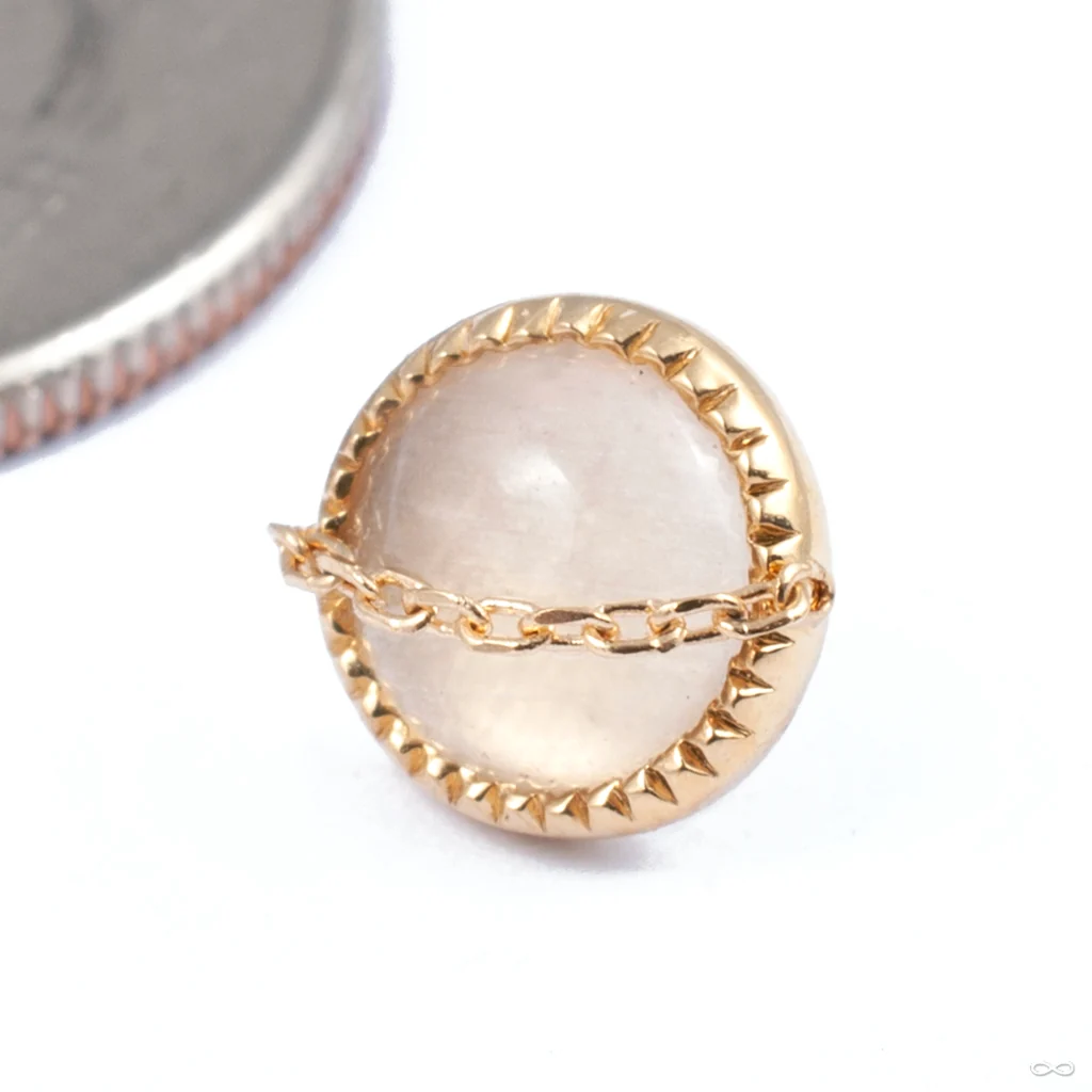 Elemence Grizant Cabochon Press-fit End in Gold from Auris Jewellery