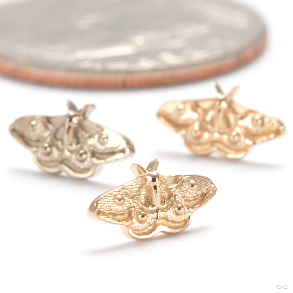 Empress Press-fit End in Gold from Regalia