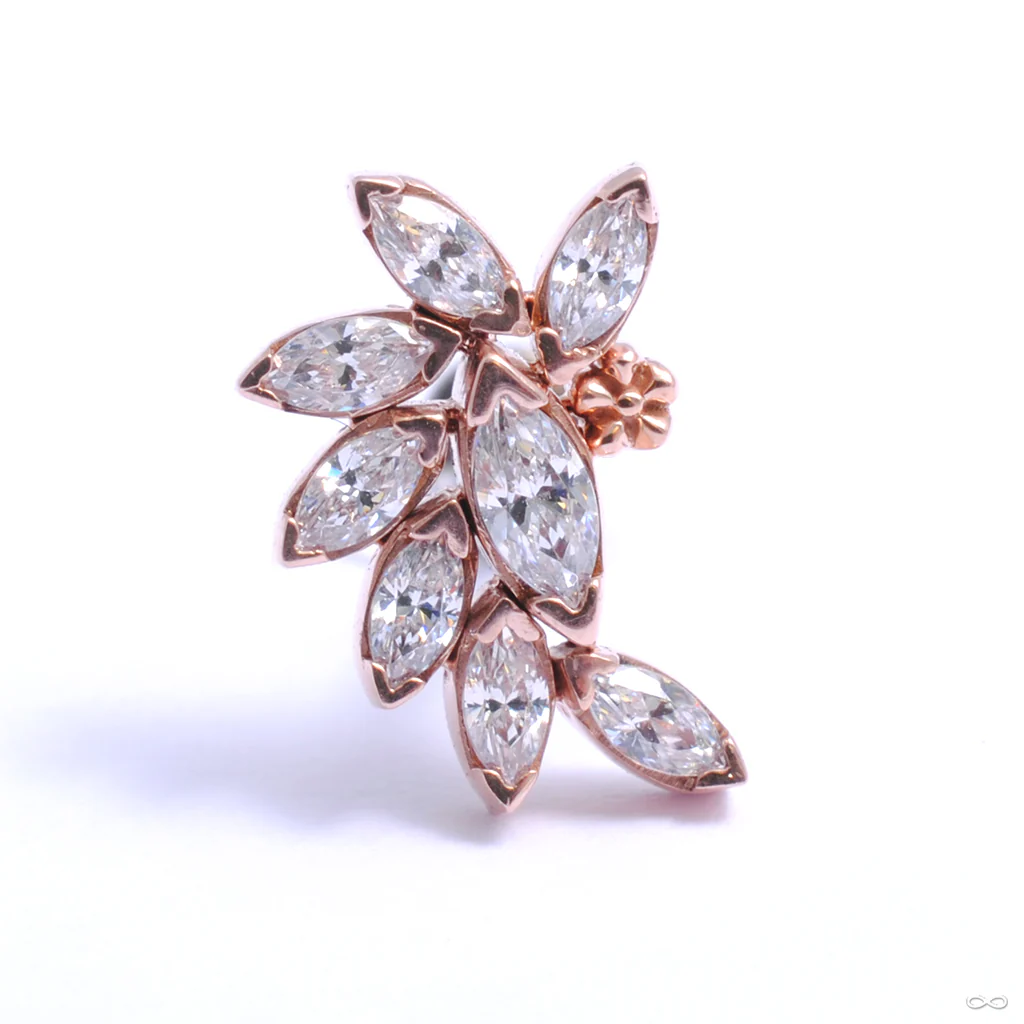 Ethel Press-fit End in Gold from LeRoi - Image 2