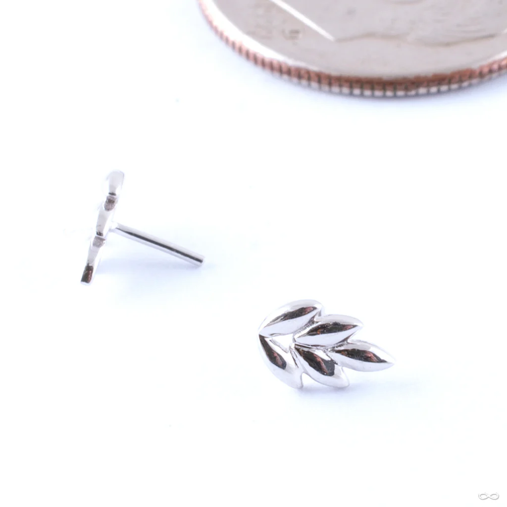 Fernanda Press-fit End in Gold from Junipurr Jewelry - Image 2