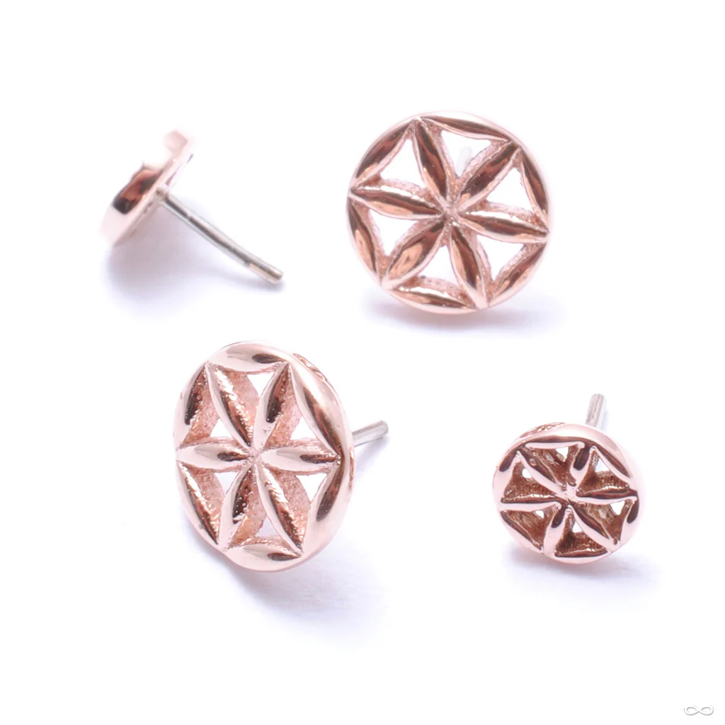 Flower of Life Press-fit End in Gold from BVLA - Image 5