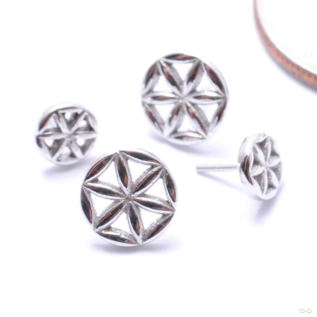 Flower of Life Press-fit End in Gold from BVLA - Image 6