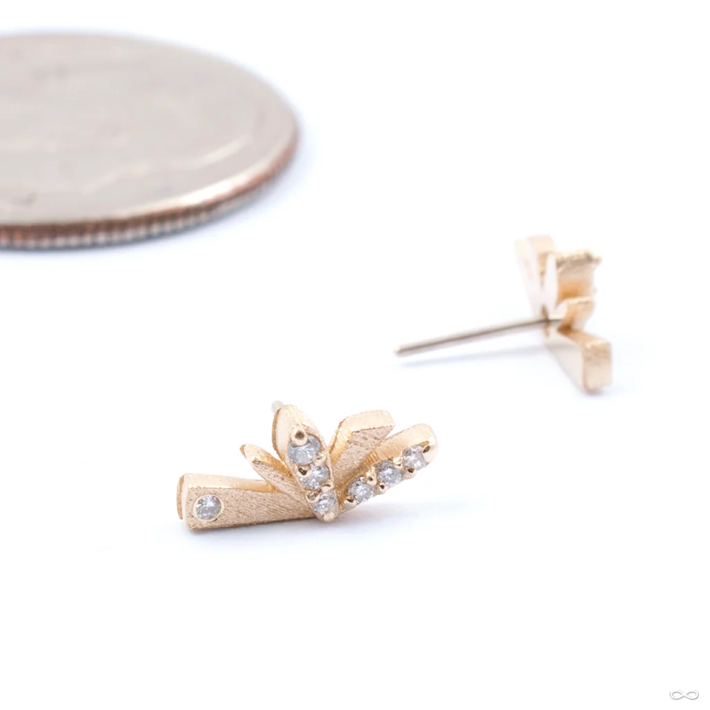 Flutter Press-fit End in Gold from Pupil Hall - Image 3