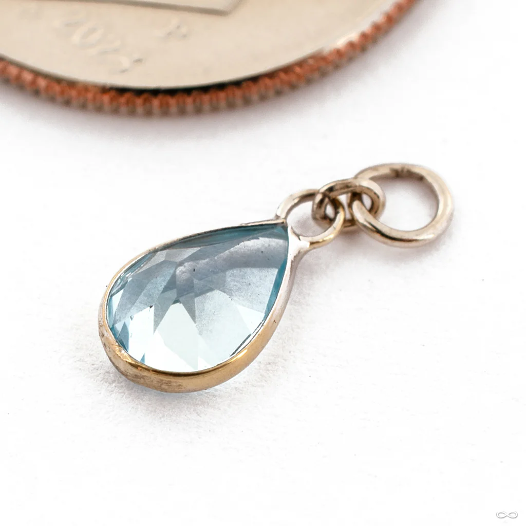 Fresco Charm in Gold from Hialeah