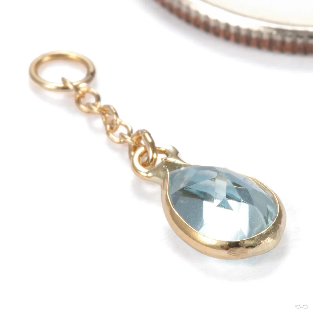 Fruta Charm in Gold from Hialeah - Image 3