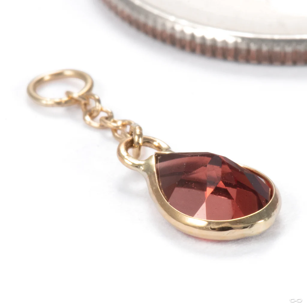 Fruta Charm in Gold from Hialeah - Image 5