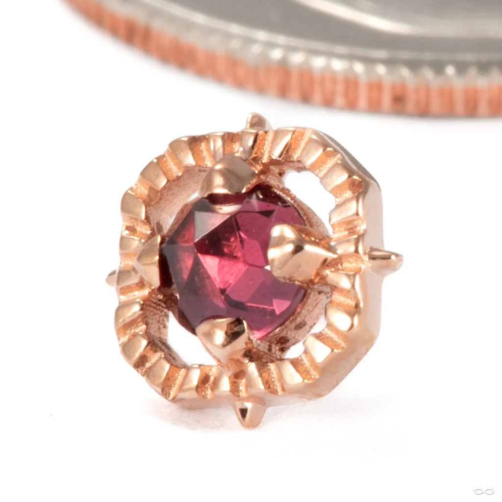 Gemmed Kappa 04 Press-fit End in Gold from Tether Jewelry - Image 2