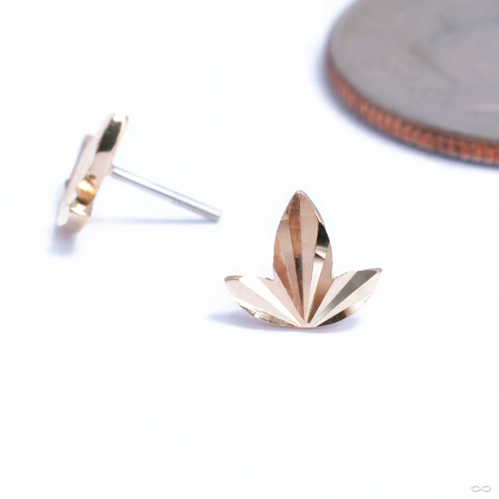 Gold Leaf Press-fit End in Gold from Buddha Jewelry - Image 4