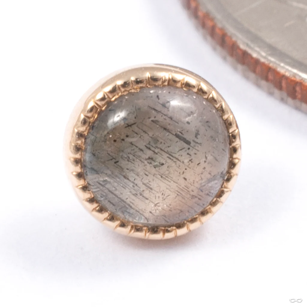 Grizant Cabochon Press-fit End in Gold from Auris Jewellery - Image 3