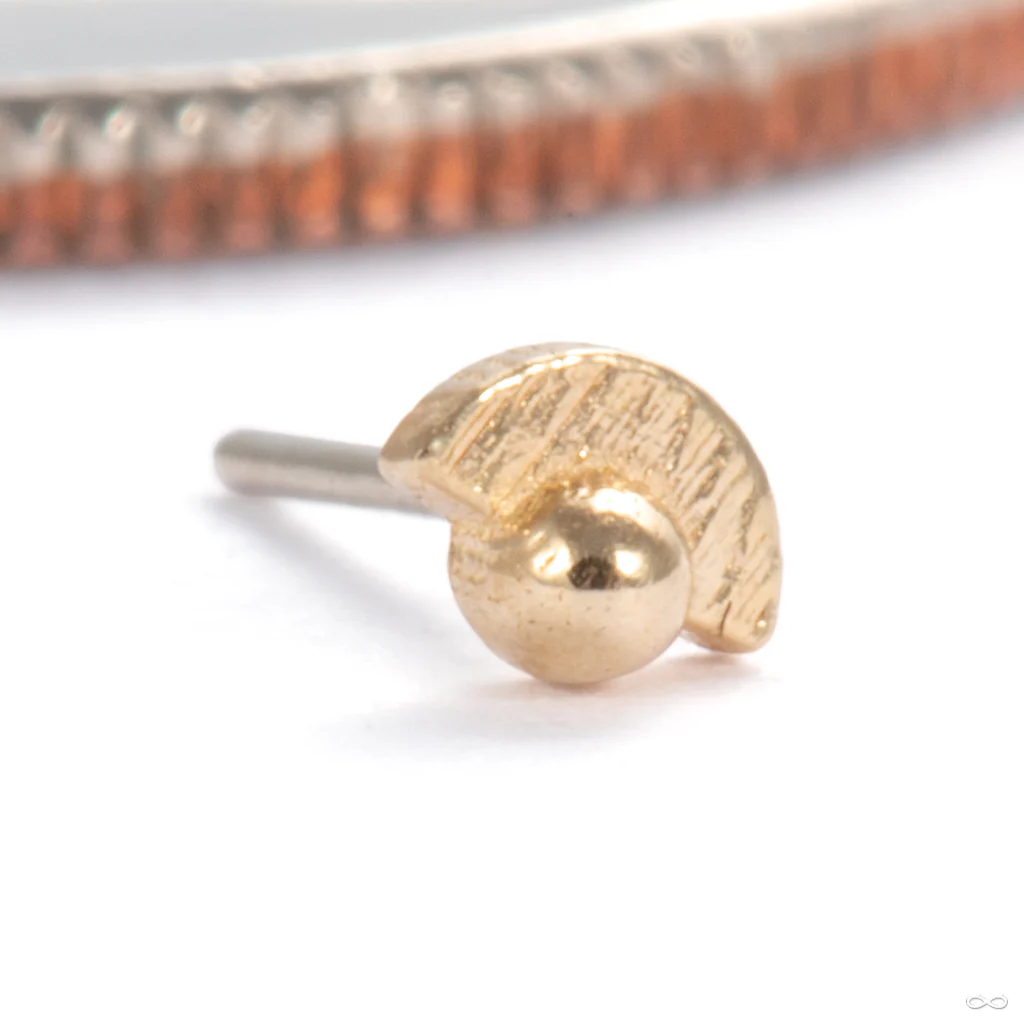 Half Full with Dottie Press-fit End in Gold from Pupil Hall - Image 4