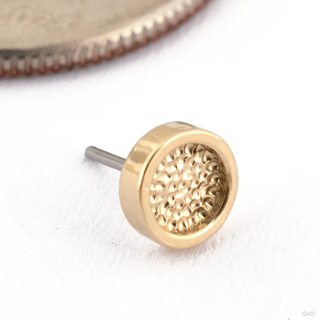 Hammered Disk Press-fit End in Gold from Seasons Handmade - Image 3