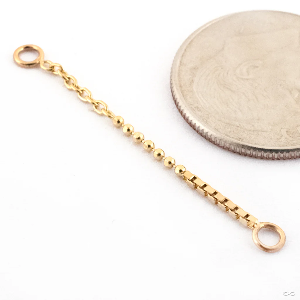 Hodgepodge Lynx Chain in Gold from Pupil Hall - Image 3