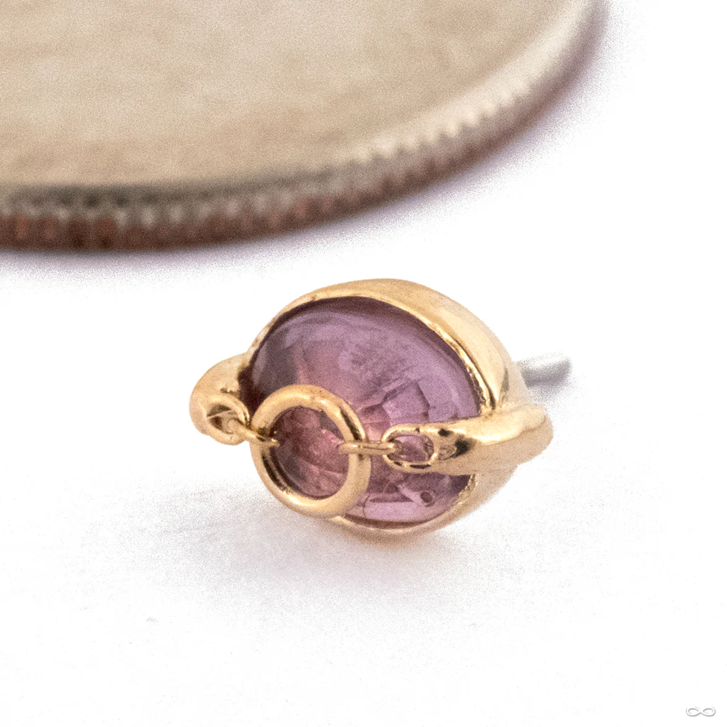 How Dare You Oval Press-fit End in Gold from Pupil Hall - Image 7