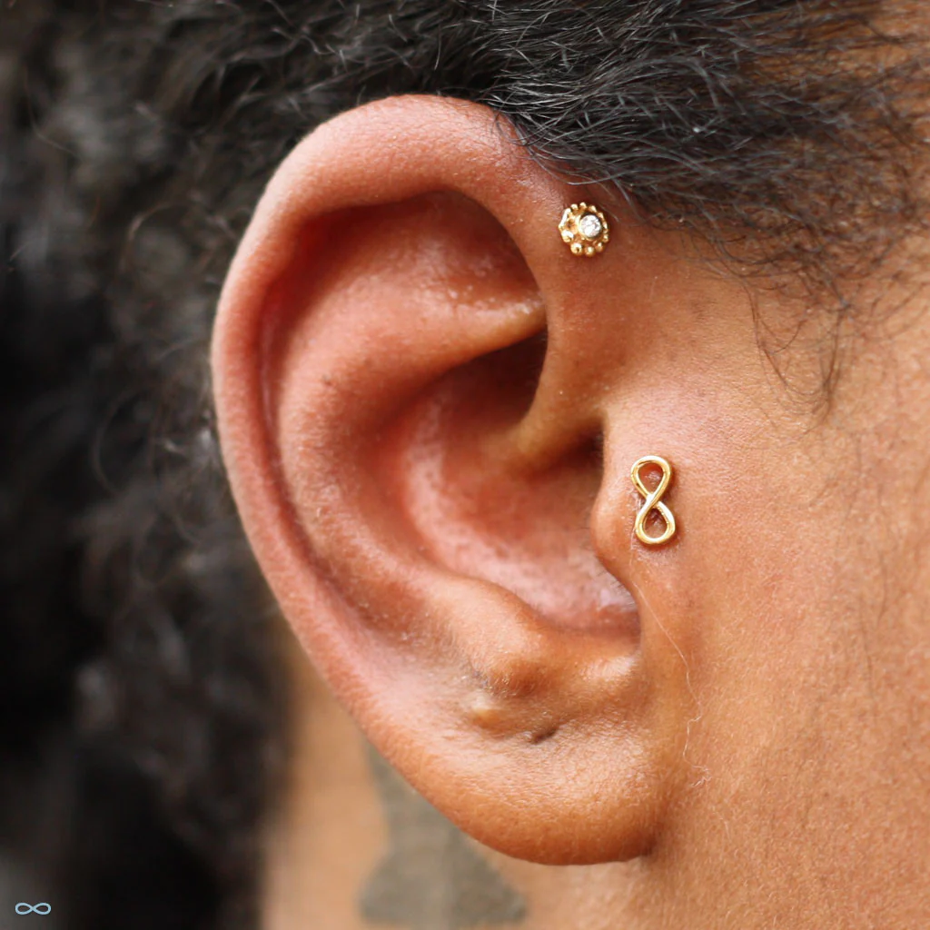 Infinity Press-fit End in Gold from BVLA - Image 5