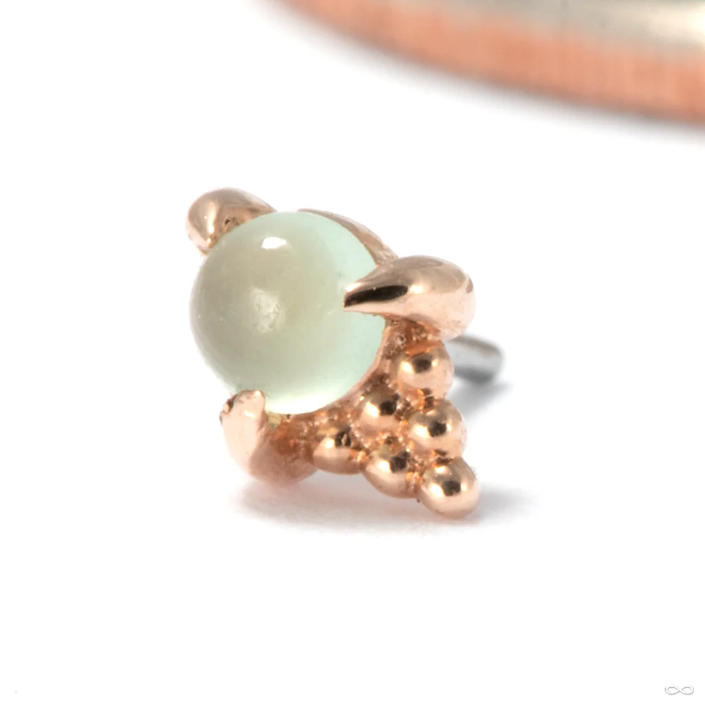 Jolene Press-Fit End in Gold from Tawapa - Image 3