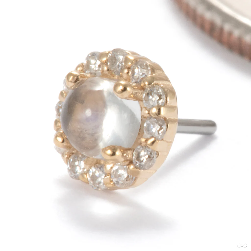 Joy Press-fit End in Gold from Ember Body Jewelry - Image 3