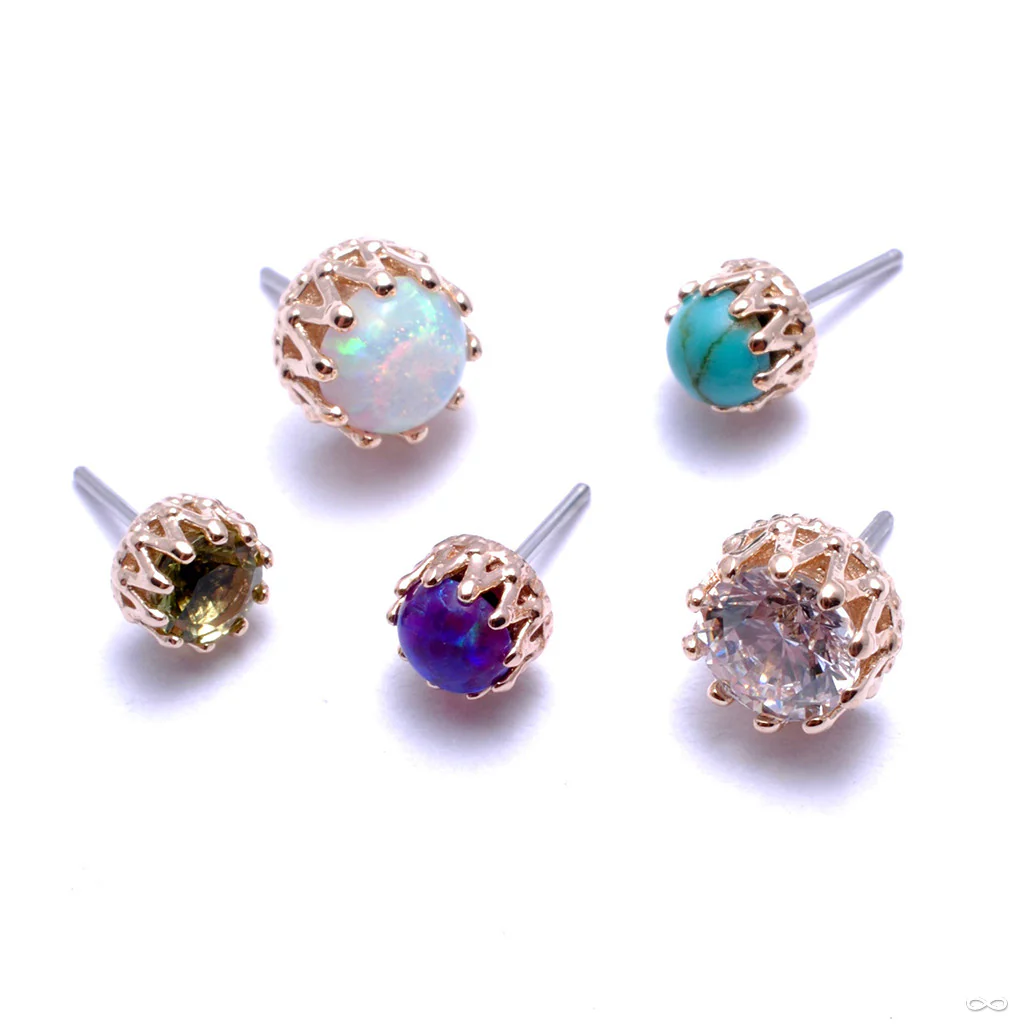 King Press-fit End in Gold from Anatometal
